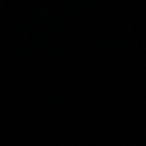 Meet your Posher, Six